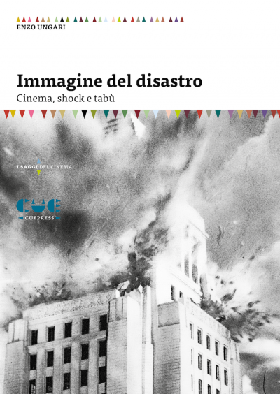 Cover Immagine del disastro